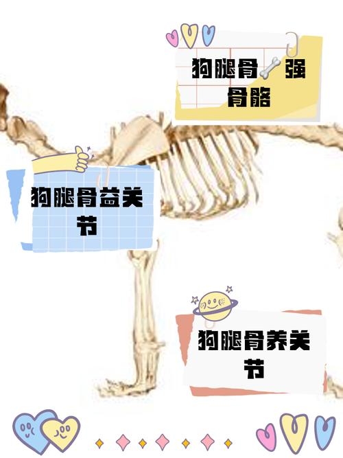 想玩转狗和骨头?这些技巧你必须知道!
