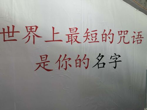 全能的咒语游戏:超详细玩法攻略及技巧分享
