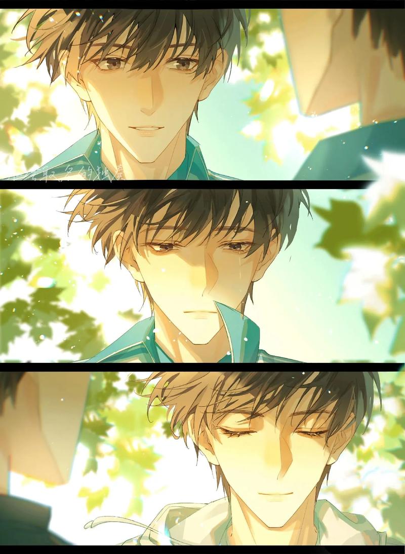 夏日狂想曲：那些年我们一起追过的盛夏