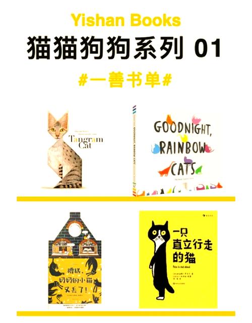 完美猫小说：精彩剧情，带你走进猫咪世界