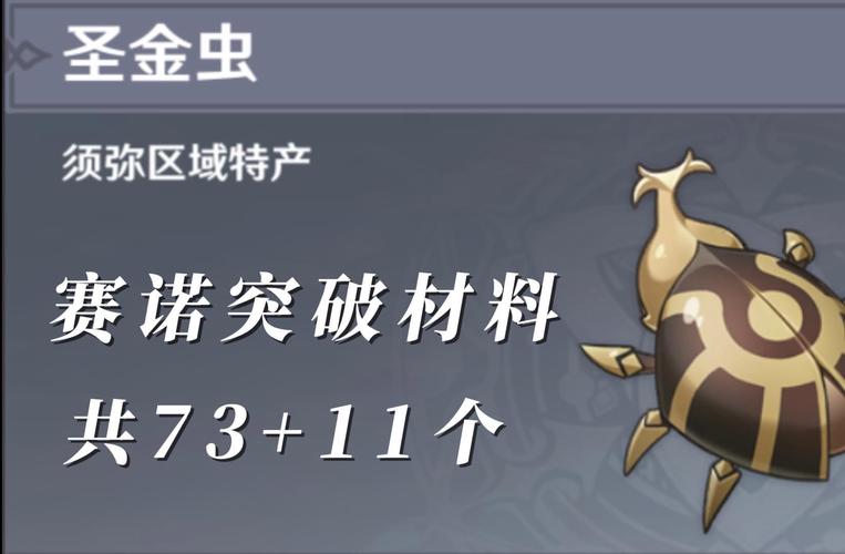 圣金甲虫游戏攻略：快速收集秘籍大公开