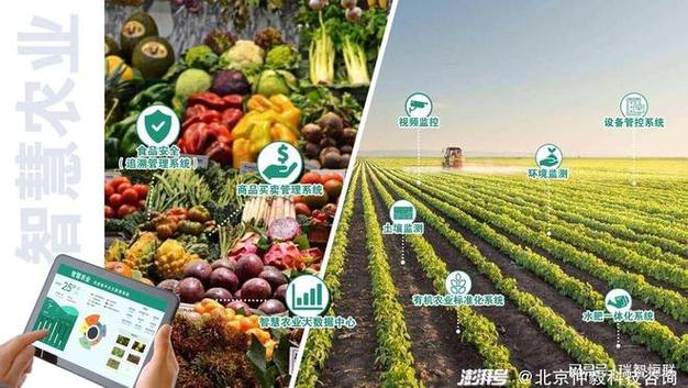 黔农云：贵州农民的智慧农业好帮手