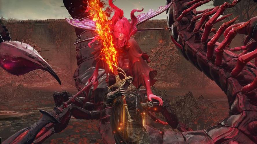 深入了解圣女骑士蕾雅：游戏背景故事及玩法