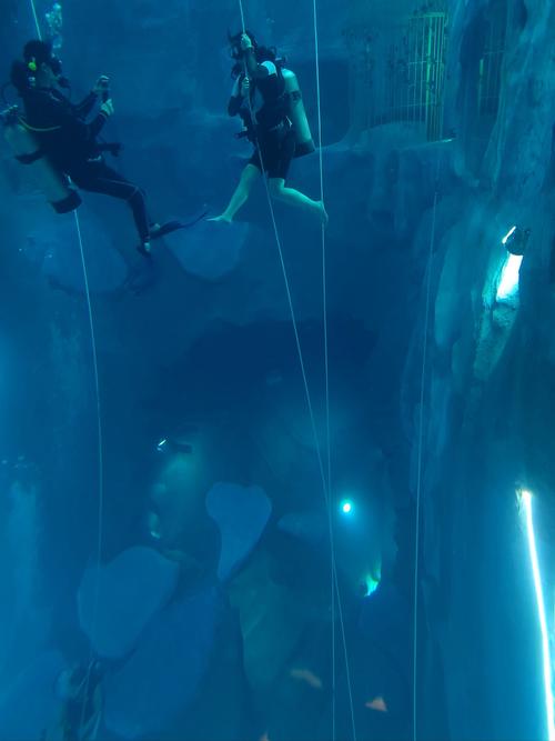 深海寻宝:虚拟现实带你体验深海探宝的刺激