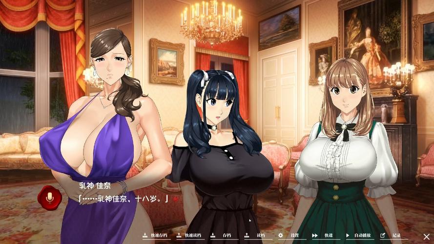 丹弗斯小姐绅士游戏合集:不同类型的绅士游戏大赏