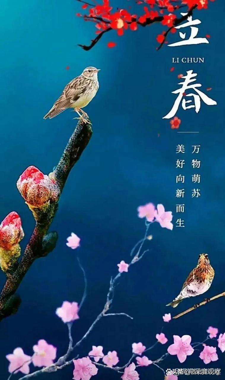 2021立春图片大全：迎接春天温暖的到来