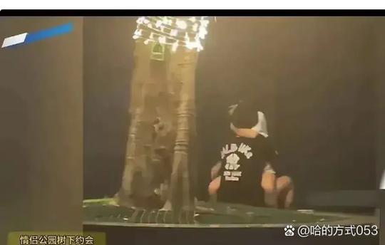 激情公园版本大全：游戏资源分享，你想要的都在这里！