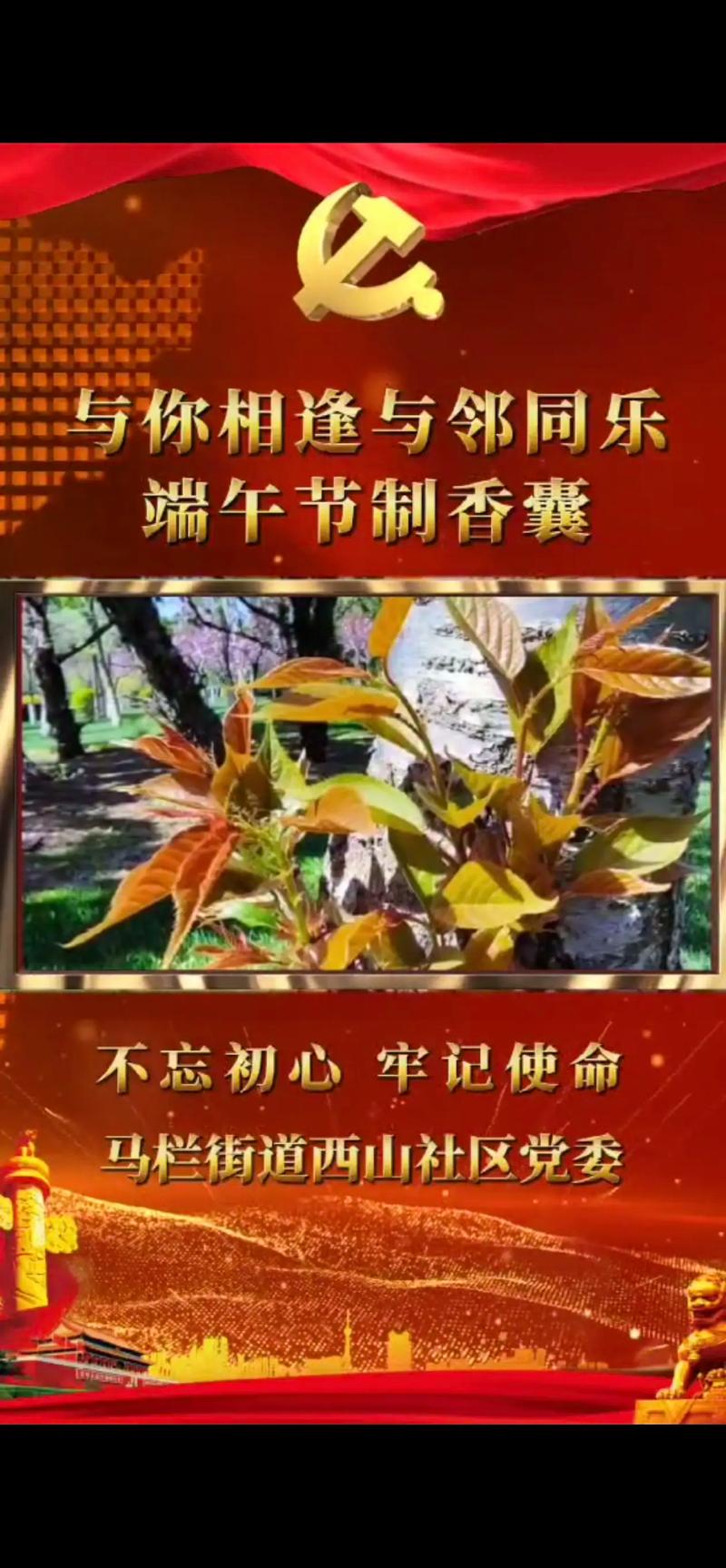 仲火节究竟是什么节日？传说故事与文化解读