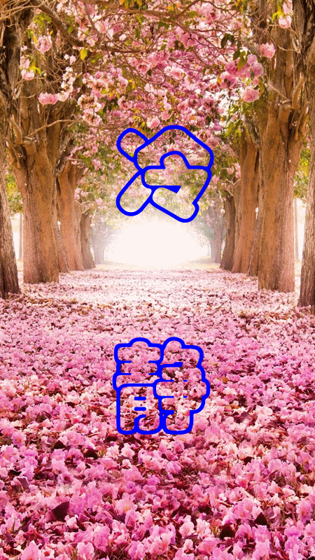 高品质安卓动态壁纸：流畅体验，省电省空间，值得拥有