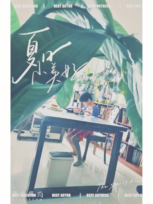 夏日炎炎版本大全:游戏、歌曲、小说应有尽有