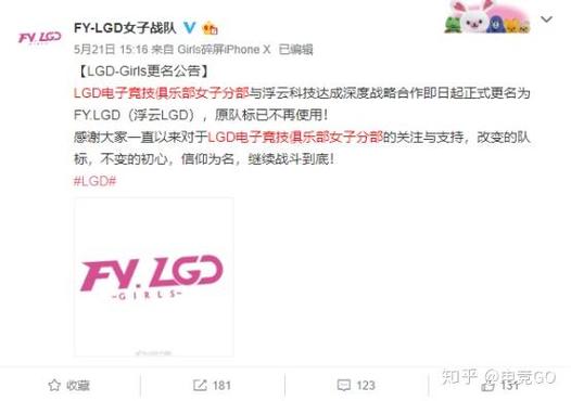 B神退役后去向何方？电竞老将的未来规划揭秘