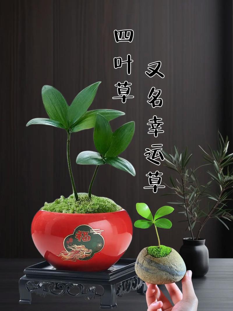 幸运四叶草下载：招财进宝，好运常伴！