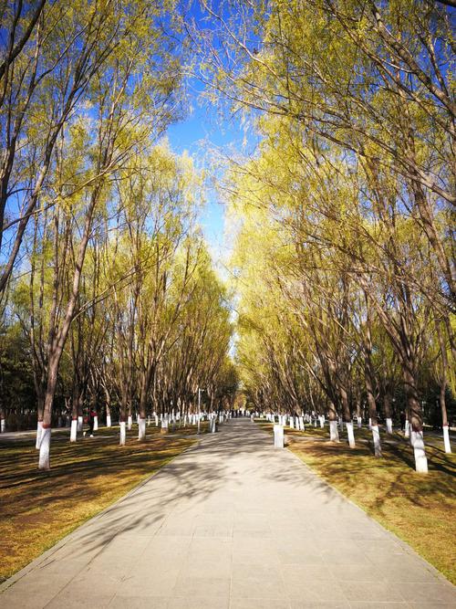 公主花园楼盘:新公主府街附近,8568元/平,值得一看!