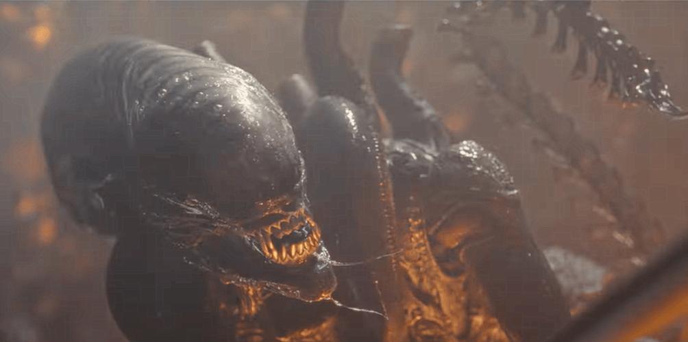 终极怪物大战异形！谁能笑到最后？