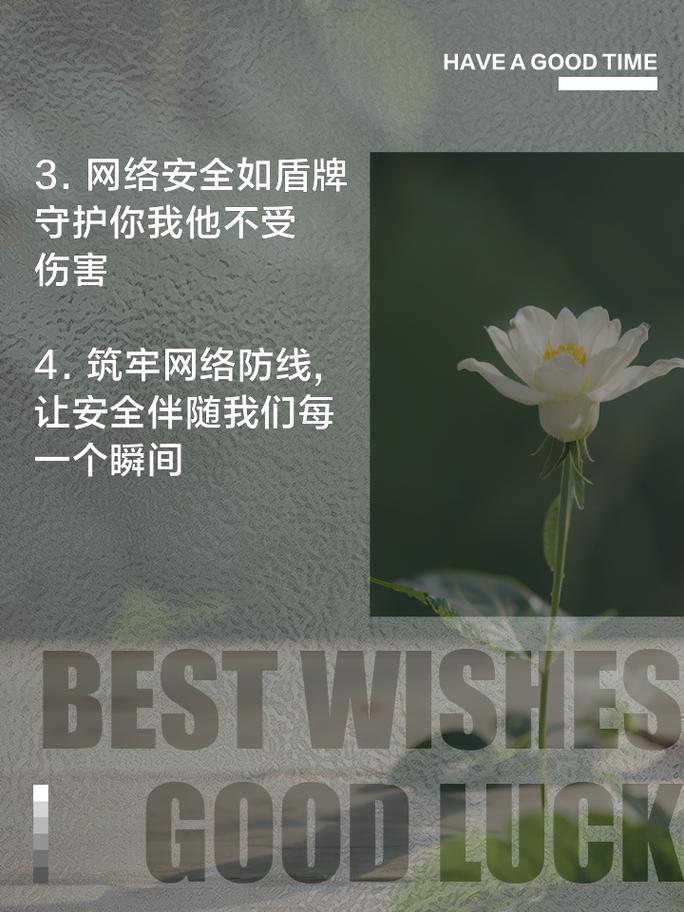 吸血鬼网站骗局大揭秘，保护你的网络安全！