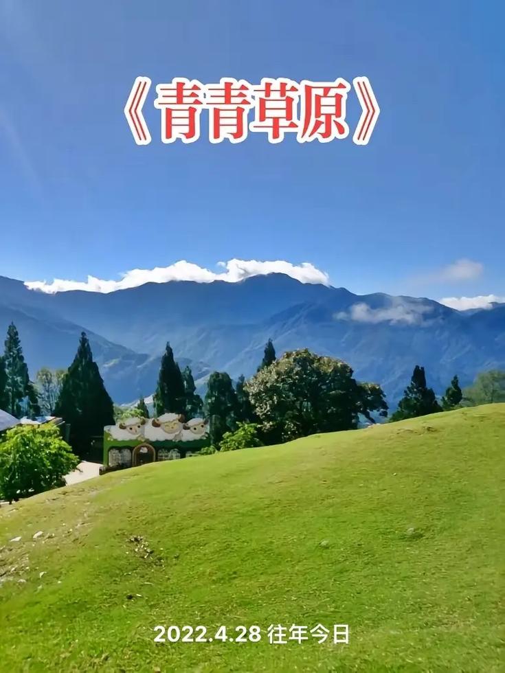 快速下载青青草原,完整步骤轻松学会!