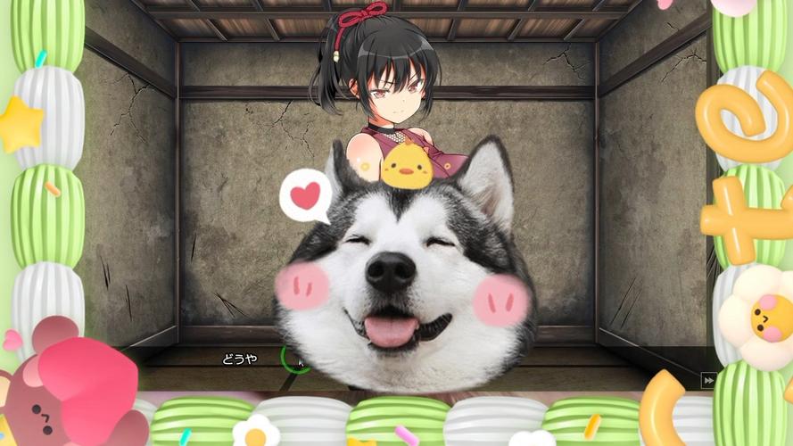 快速进入忍堕官方网站：体验最真实的忍堕世界