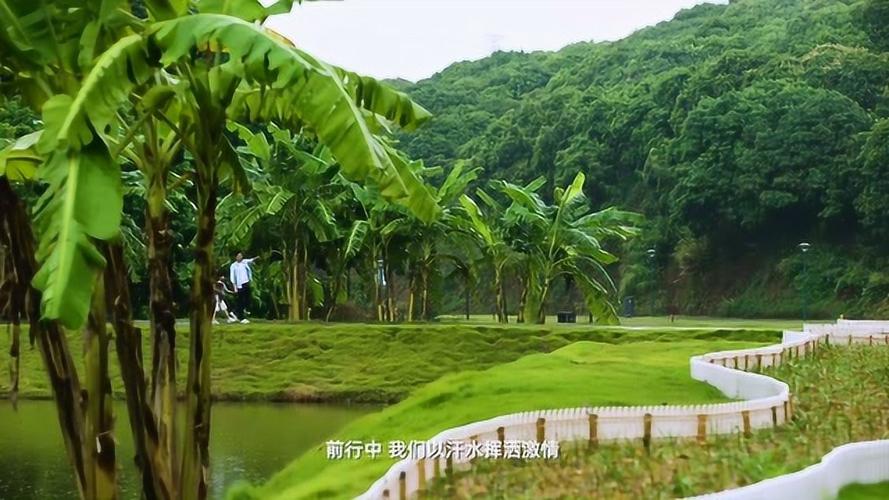 激情公园在哪下载?安全可靠的下载方法推荐