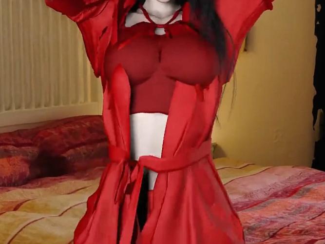 寻找靠谱的VAM整合包？3个官方网站推荐给你