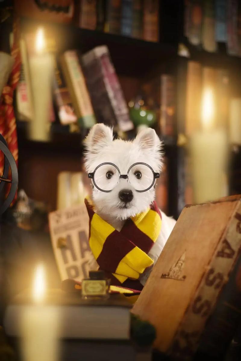 弟弟最爱！魔女秘药游戏全攻略详解