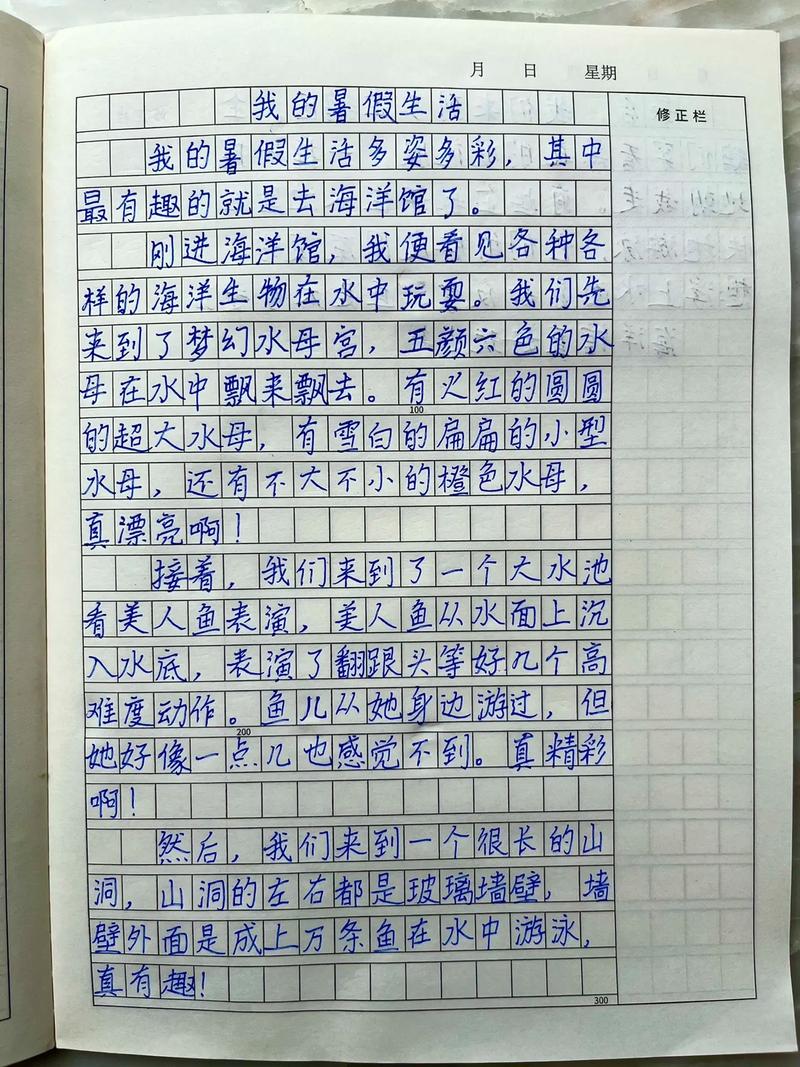 乡村生活的快乐暑假版本大全:我的暑假日记