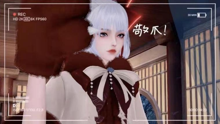 菊玩少女汉化版更新啦！有哪些新内容值得期待？