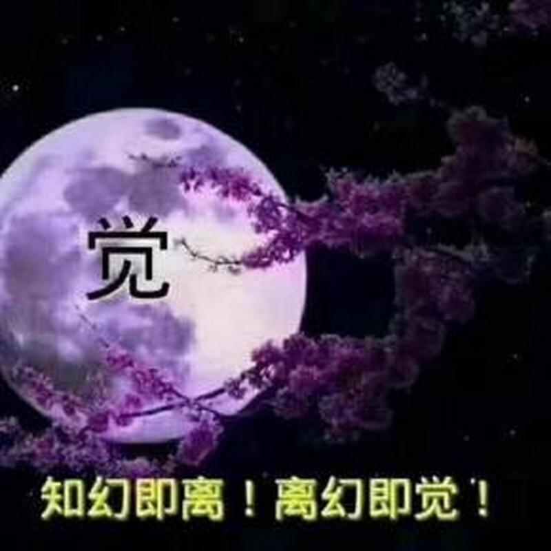 如何下载屋内有鬼?简单易懂的下载教程