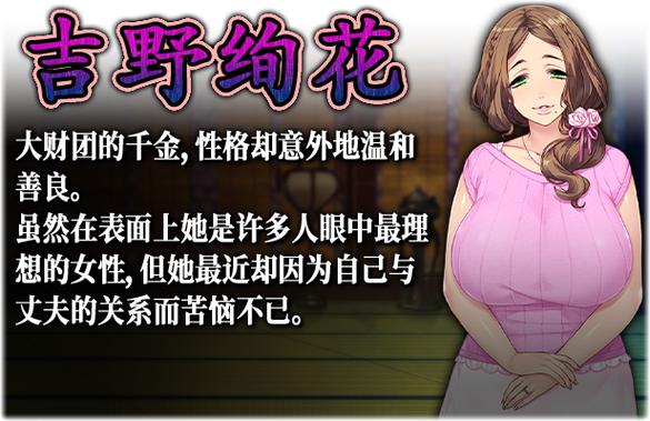 妃神会秘史汉化版下载：完整版+全CG资源免费获取