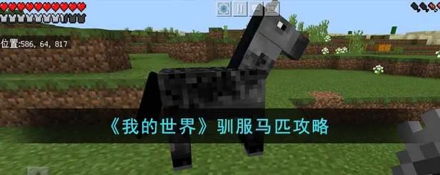 我的大学生活S3官网:玩家评价及游戏版本选择指南