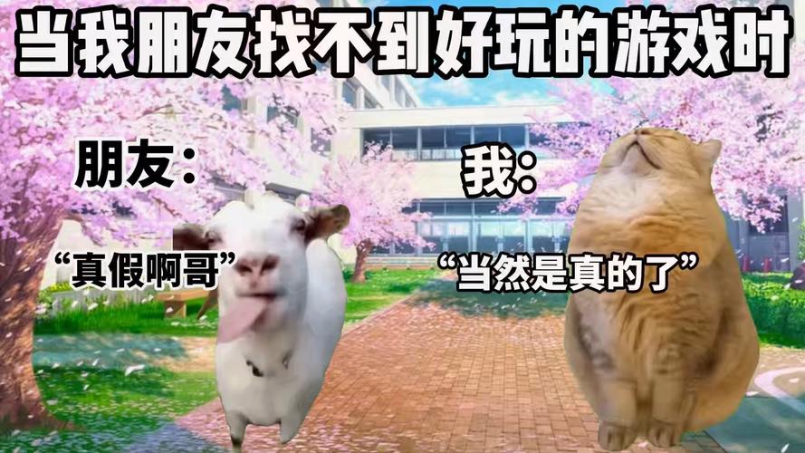 寻找NTR狂热下载地址？这里有你想要的版本