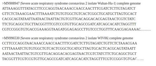 好色小姨内置89汉化版下载地址：免病毒纯净版下载