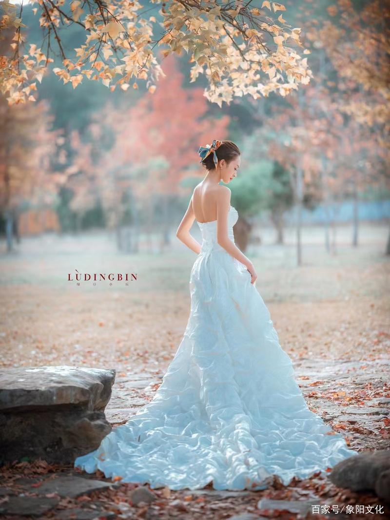 枫之恋最新电影完整版：在线观看高清资源