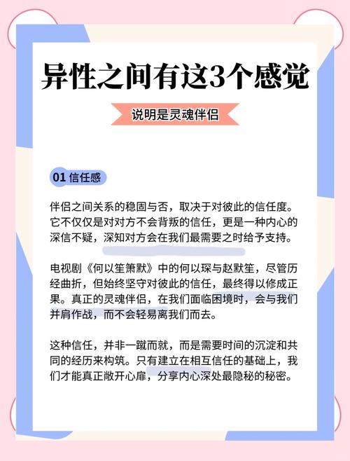 灵魂伴侣游戏介绍:寻找你的专属灵魂伴侣