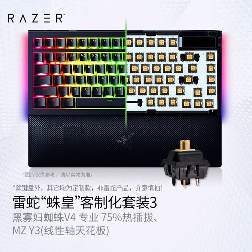 如何获取寡妇的偏远客栈最新版本？这里有最全的解答！