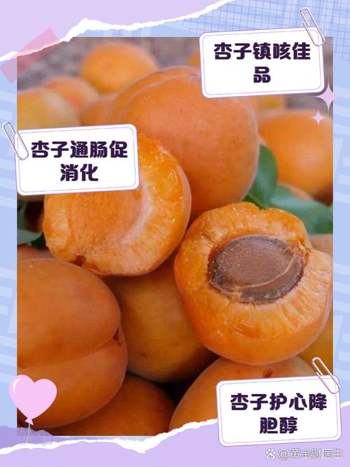 寻找人杏之间官方网站？这里有你需要的全部杏信息