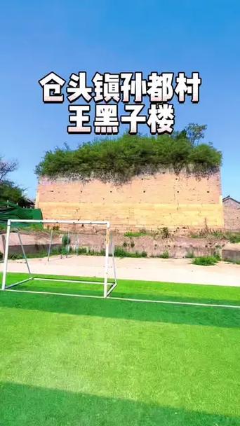 青楼之王各版本对比：哪个版本最值得玩？新手玩家必看！