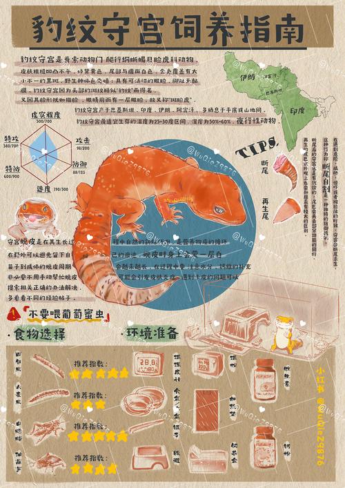 想玩海豹社30部合集？这份攻略助你轻松通关！
