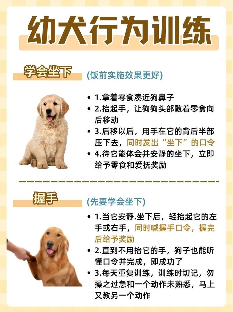 轻松下载精灵女上司的训狗术,新手玩家必看指南