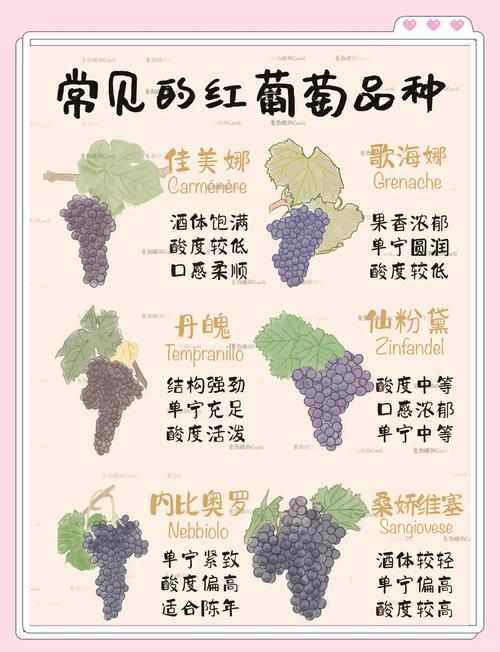 葡萄成熟时版本大全：你最喜欢哪个版本？