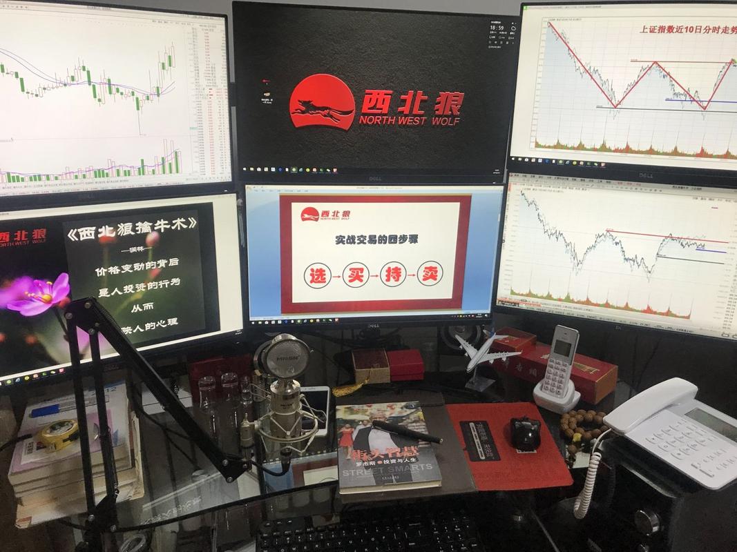 还在找股市之狼下载？这里有你需要的版本