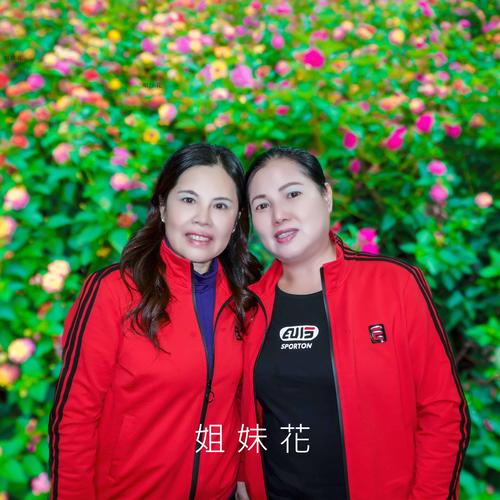 姐妹花版本大全:超好听的姐妹合唱歌曲合集