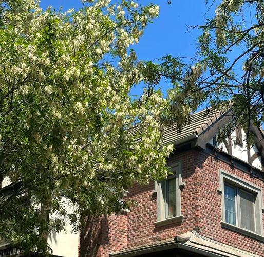 听说最近有个神秘别墅，最新消息都在这里！