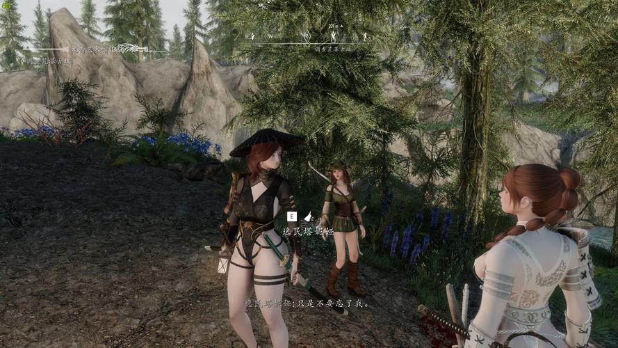 上古卷轴5版本大全:哪个版本最适合你?