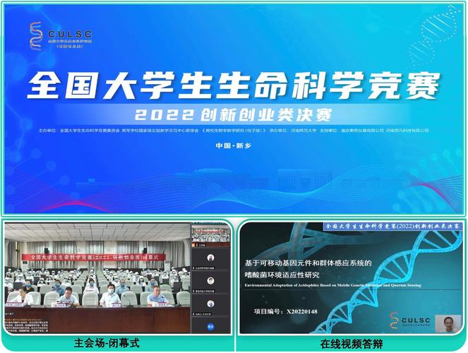 生命竞赛最新版本是多少?别玩错版本了,快来看看!