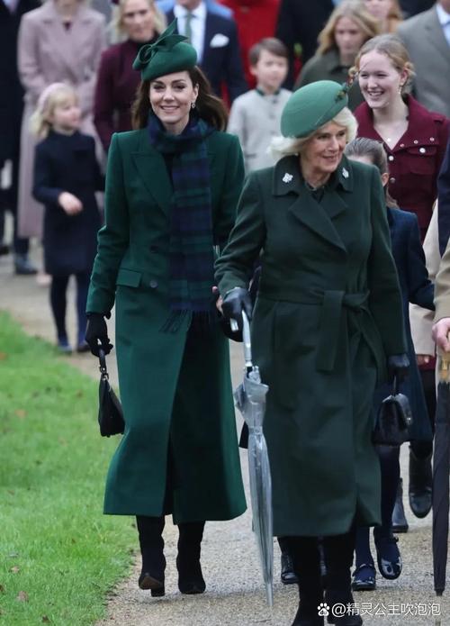 凯特最新版本哪里可以看?超清画质在线播放