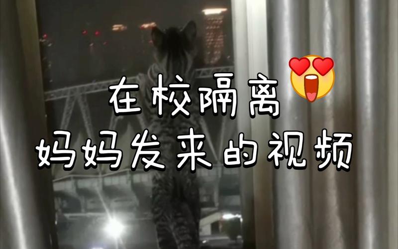 与妈妈一起隔离官方网站入口：最新版本及汉化补丁