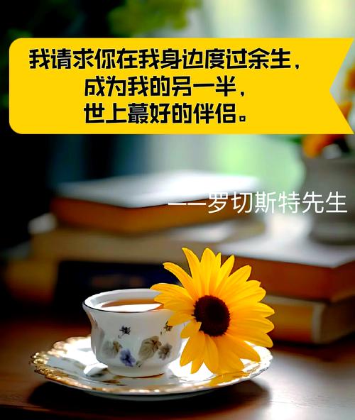 灵魂伴侣版本大全：揭秘爱情的终极奥秘