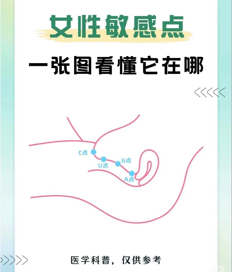 涩点点各个版本区别详解，最新版本下载攻略