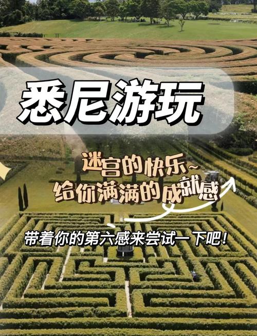 无尽迷宫版本大全:新手玩家必看攻略