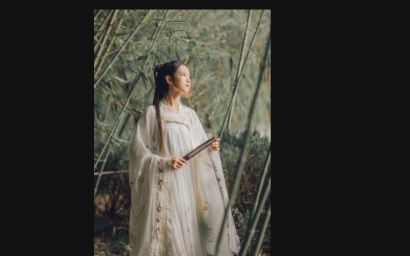 侠女逍遥录V0.755官方网站：最新版本下载及游戏攻略大全